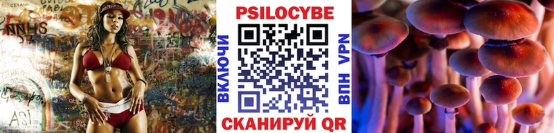 маркетплейс состав  ОМГ ОМГ ссылки  Бирск  Псилоцибиновые грибы MAGIC MUSHROOMS 